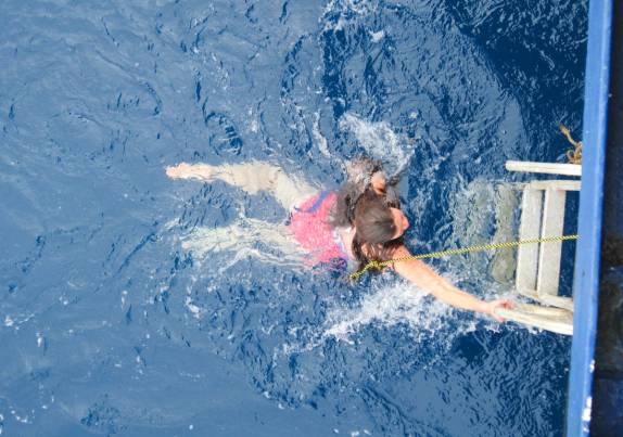 A Rowan se apressa em sair das águas geladas em Brown Bluff, na Antártida